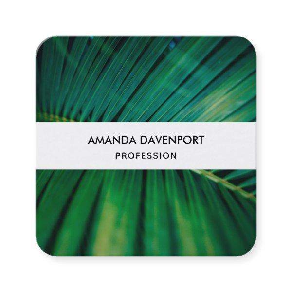 Green Leaf Palm Frond Tropical Nature Photo Square