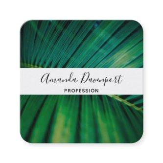 Green Leaf Palm Frond Tropical Nature Photo Square