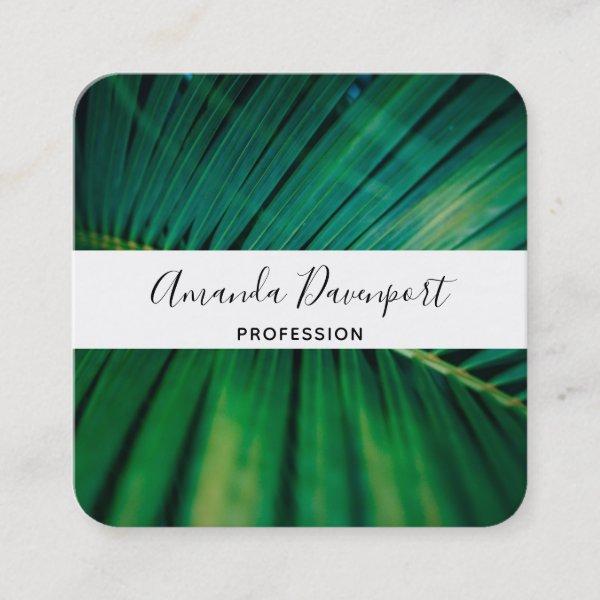 Green Leaf Palm Frond Tropical Nature Photo Square