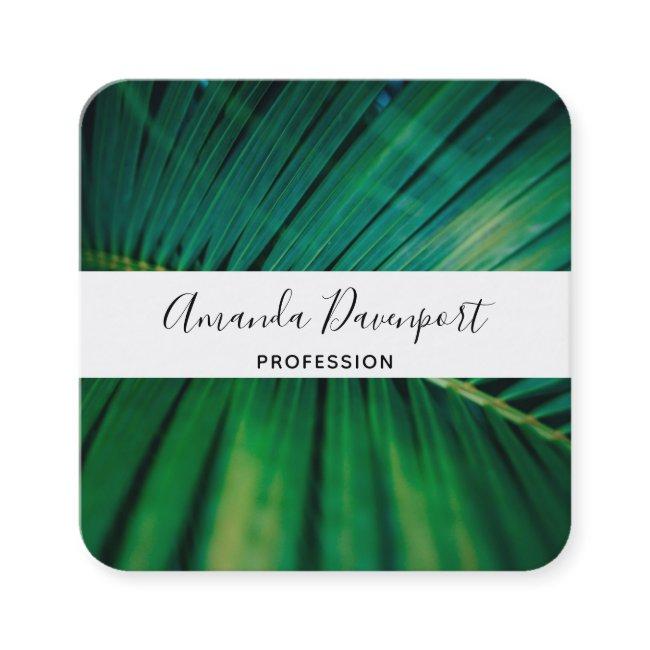 Green Leaf Palm Frond Tropical Nature Photo Square