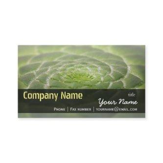 Green Leaves Aeonium Tabuliforme Business Template
