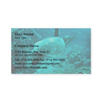 Green Sea Turtle