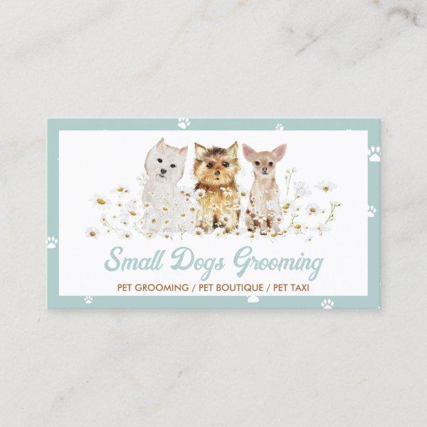 Green Watercolor Small Dogs Paw Daisy Pet Sitter