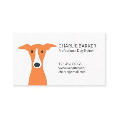 Greyhound | Italian Greyhound | Whippet | Cute Dog
