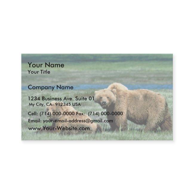 Grizzly Bears