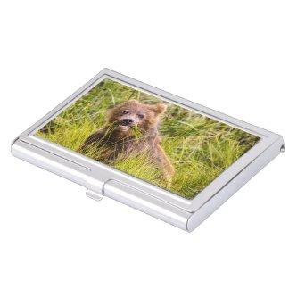 Grizzly cub grazing, Alaska  Case