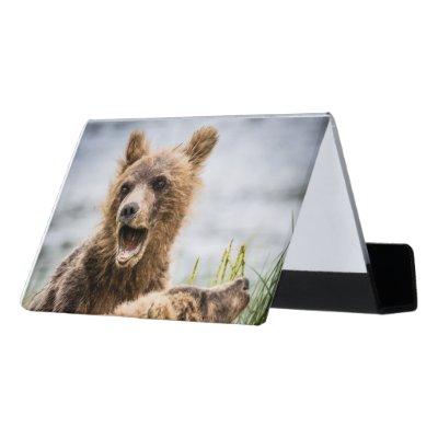Grizzly Cubs Looking For Their Mum Desk  Holder