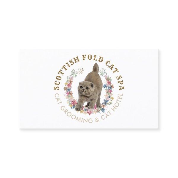 Grooming Salon Pet Spa Scottish Fold Cat