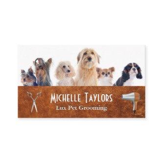 Group of Small Dogs | Grooming Tools