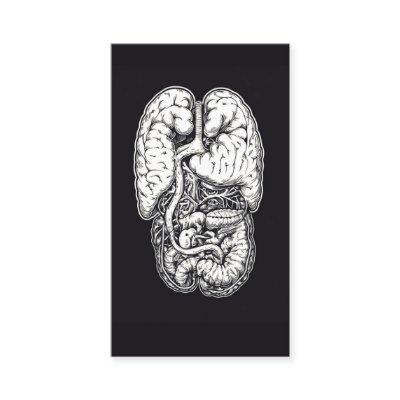 Gut Health Doctor Microbiota Expert