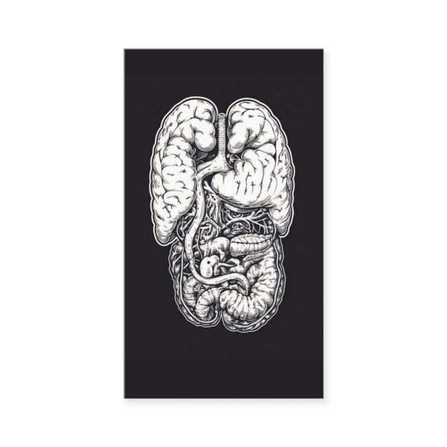 Gut Health Doctor Microbiota Expert