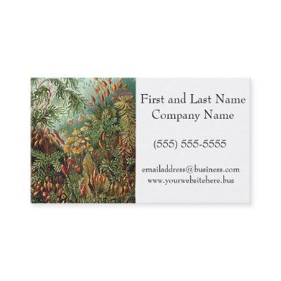 Haeckel Moss, Grass, and Fungus Mushroom Painting