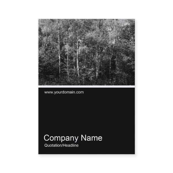 Half&Half Photo 0106 - Silver Birch Trees B&W