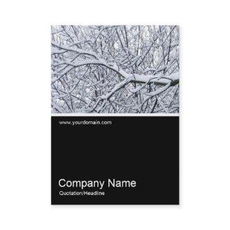 Half&Half Photo 0195 - Snowy Branches