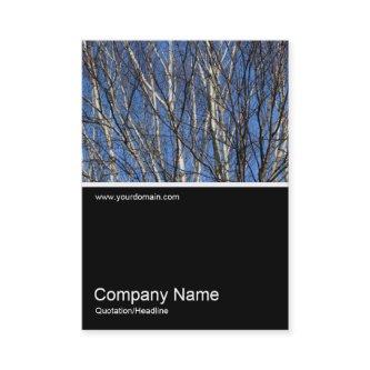 Half&Half Photo 0302 - Silver Birch Branches