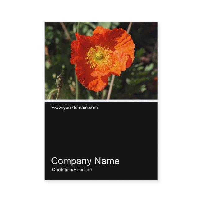 Half&Half Photo 0325 - Welsh Poppy (Orange)