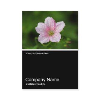 Half&Half Photo 0346- Geranium