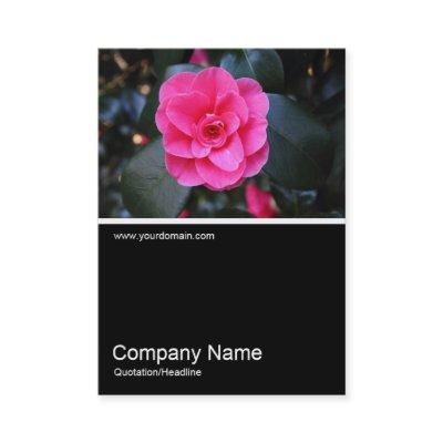 Half&Half Photo 0361 - Pink Camellia