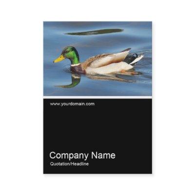 Half&Half Photo 0371 - Mallard Geese