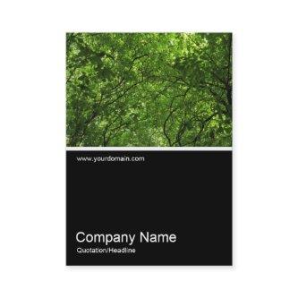 Half&Half Photo 0373 - Woodland Canopy