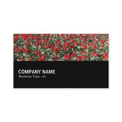 Halfway 097 - Red Tulips and Primroses
