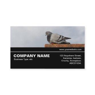 Halfway V3 041 - Good Morning Pigeon
