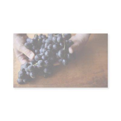 hands holding grapes
