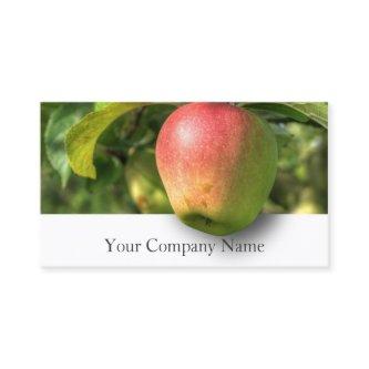 Hanging Apple Orchard Photograph