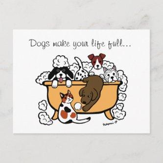 Happy Bath Time Chocolate Labrador Cartoon Postcard