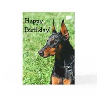 Happy Birthday Doberman Pinscher greeting card