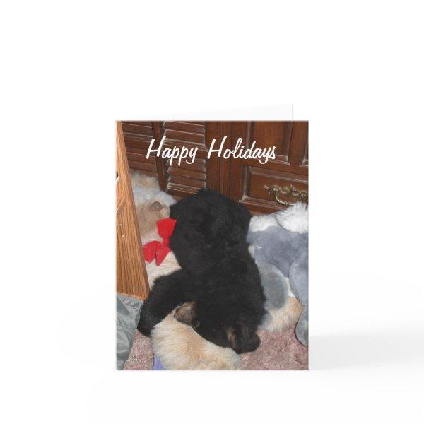 Happy Holidays - Shenandoah Bright Holiday Card
