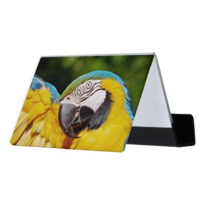 Head of a Blue and Yellow Macaw  Desk  Holder
