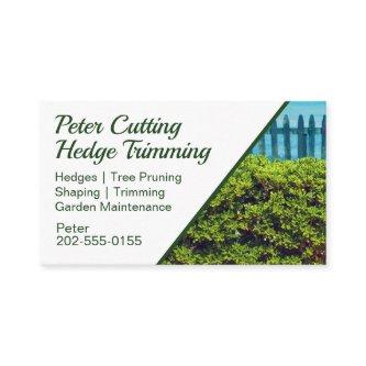 Hedge Cutting and Trimming