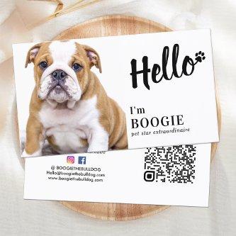 Hello Custom Photo Social Media Pet Influencer