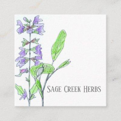 Herb Business Sage Farm Medicinal Culinary  Square