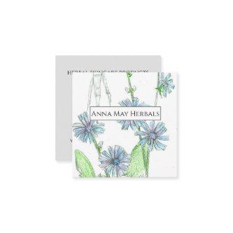 Herb Farm Chicory Medicinal Plants