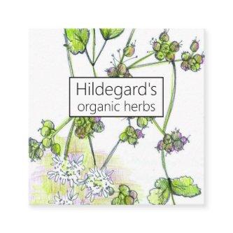 Herb Farm Coriander Plants Coupon
