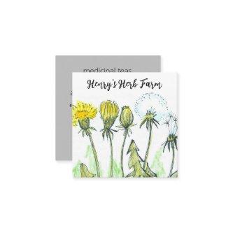 Herb Farm Dandelion Medicinal Plants