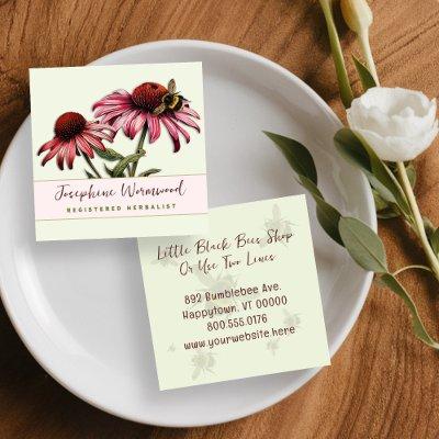 Herbalist Coneflower Echinacea Bumblebees Square