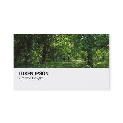 Hi-Phi - 0297 - Spring in the Woods 01