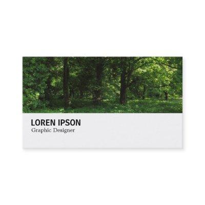 Hi-Phi - 0298 - Spring in the Woods 02