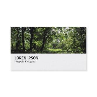 Hi-Phi - 0299 - Spring in the Woods 03