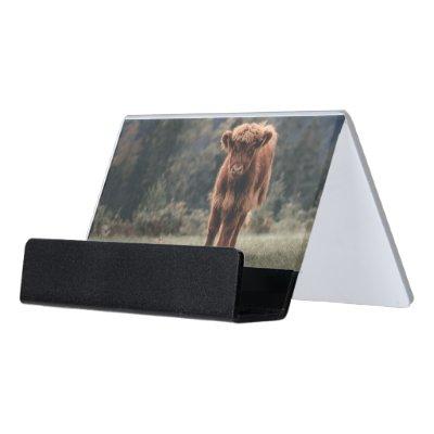 Highland cow calf autumn grass field desk  holder