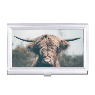 Highland cow portrait  case