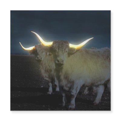 Highland Cows Glowing In The Dark, Magnetic Card