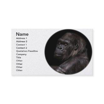 Highland Gorilla - Thinker