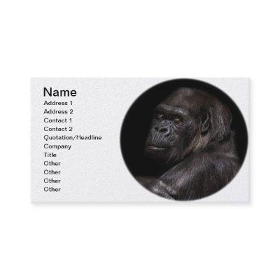 Highland Gorilla - Thinker