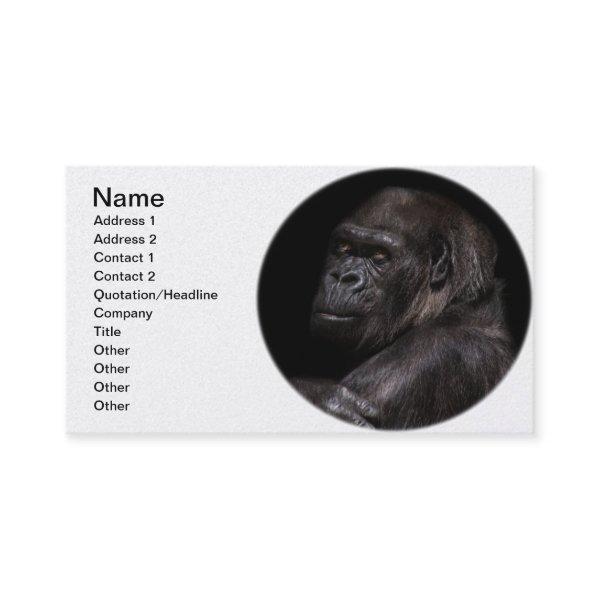 Highland Gorilla - Thinker