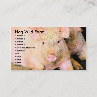 Hog Wild Farm