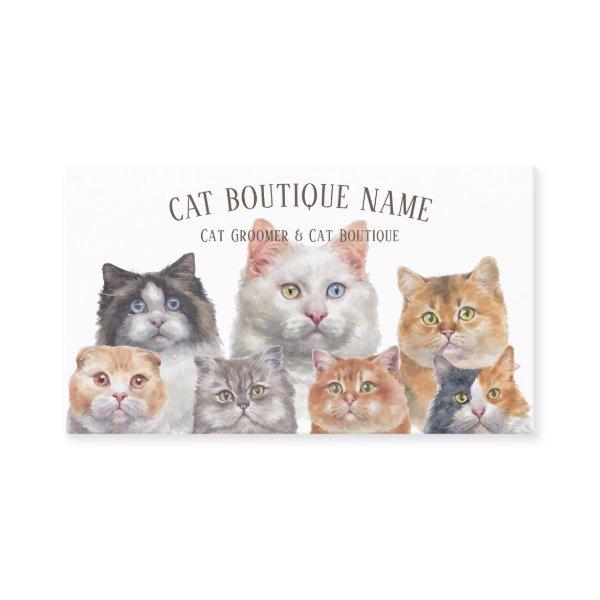 Home Pet Cats